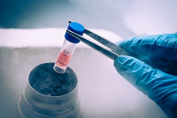 Registrul Naţional al Donatorilor Voluntari de Celule Stem Hematopoietice a primit certificarea internaţională Benchmark