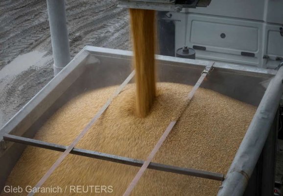 Invazia rusească a provocat sectorului agricol din Ucraina pierderi de 80 miliarde de dolari 