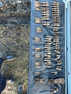 Elemente de muniţie descoperite într-o pădure din Vaslui
