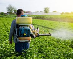 Alertă! Un produs alimentar care conține un pesticid interzis a pătruns în România