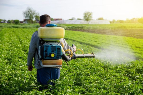 Alarmant! Patru din cinci persoane testate, contaminate cu un pesticid extrem de toxic