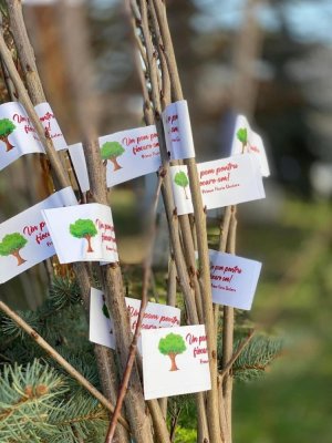 Start Campaniei ”Un POM pentru fiecare OM, un pom pentru fiecare casă”, la Năvodari