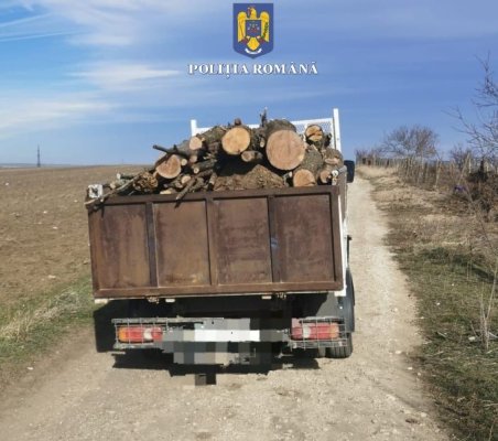 Șofer, amendat după ce a fost prins cu lemne pentru care nu avea acte
