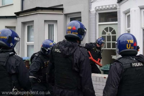 Marea Britanie: Câini de luptă şi sute de arme confiscate într-o operaţiune împotriva traficului de droguri