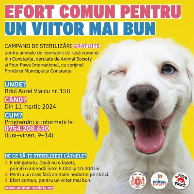 Primăria Constanța anunță începerea campaniei de sterilizare gratuită a animalelor