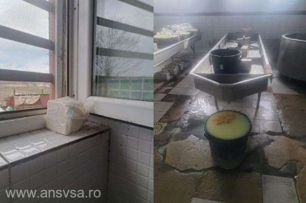 Amenzi de 2,85 milioane de lei, în urma unor controale pentru depistarea de practici frauduloase la produsele lactate