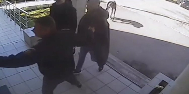 Fotografia de 1.500 de lei: Trei frați au plătit pentru un selfie cu Jandarmeria. Video