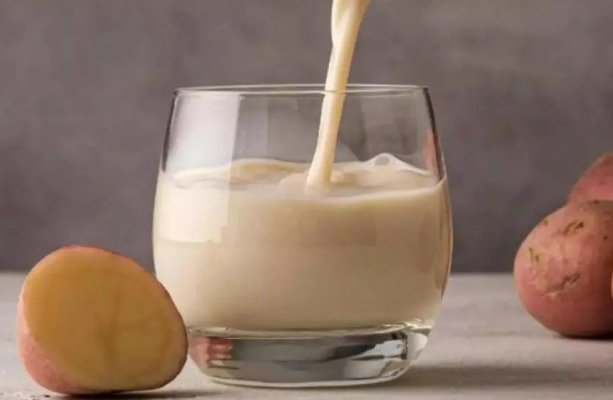 Laptele de cartof, salvare pentru diabetici: beneficii nebănuite pentru sănătate