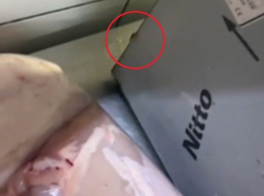 ANPC a descins la un celebru restaurant: „Gândacii sunt împărțiți pe soiuri de carne“