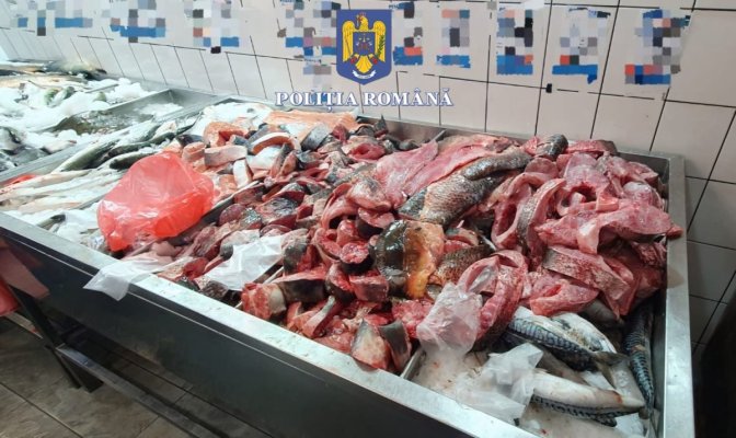 Aproape 250 de kg de pește fără acte de proveniență, descoperite de polițiști
