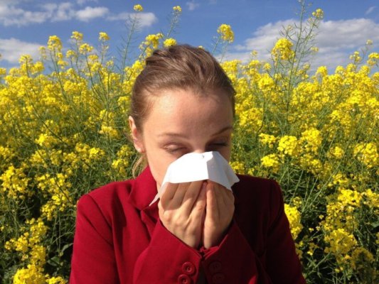 Alergiile sezoniere: sfaturi de la experți pentru a reduce simptomele