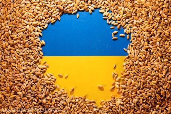 Exporturile agricole ale Ucrainei ar urma să scadă cu 20% în martie