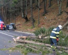 Trei copii au ajuns la spital, după ce un copac a căzut peste mașina în care se aflau 