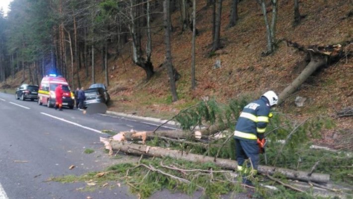Trei copii au ajuns la spital, după ce un copac a căzut peste mașina în care se aflau 