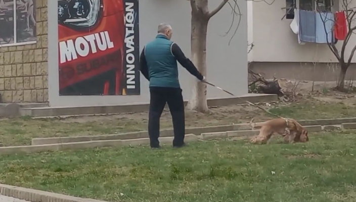 Nesimţirea stăpânilor de câini, combătută cu amenzi usturătoare la Năvodari. Video