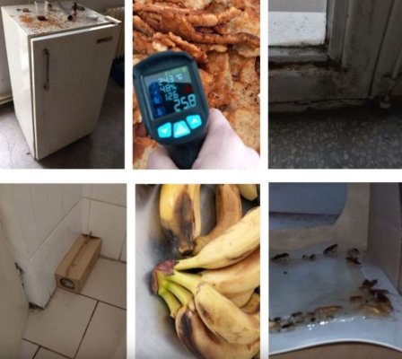 Inspectorii ANPC, șocați de „meniul“ din bucătăria unui colegiu - șoareci morţi, gândaci şi mucegai
