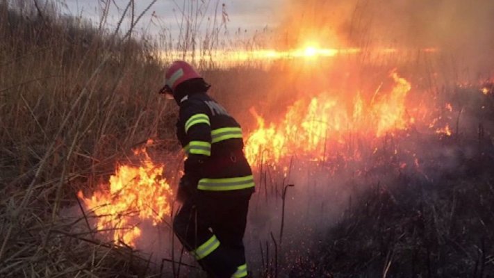 Incendii de vegetație în mai multe județe. Pompierii s-au luptat cu flăcările