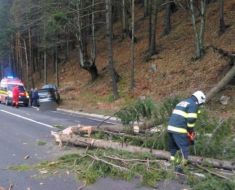 Ghinion pe șosea: Un copac s-a prăbușit peste o mașină cu 5 copii
