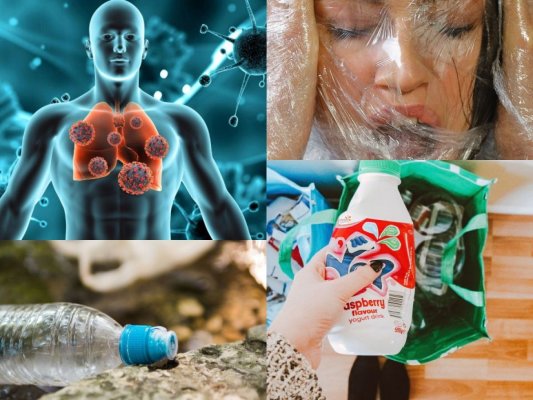 Un studiu revoluționar dezvăluie efectele prezenței microplasticelor în plăcile arteriale