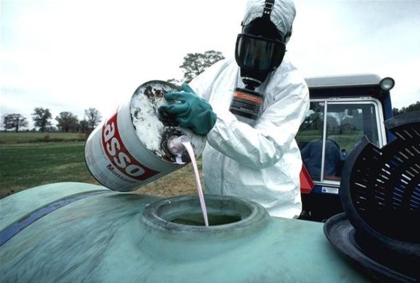 Pesticide de 450 de ori peste limită în verdețurile din piață