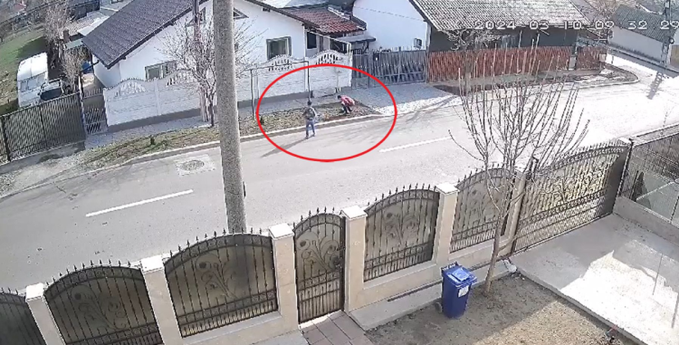 Doi minori au fost surprinși când furau arbuști plantați, în Cumpăna. Video