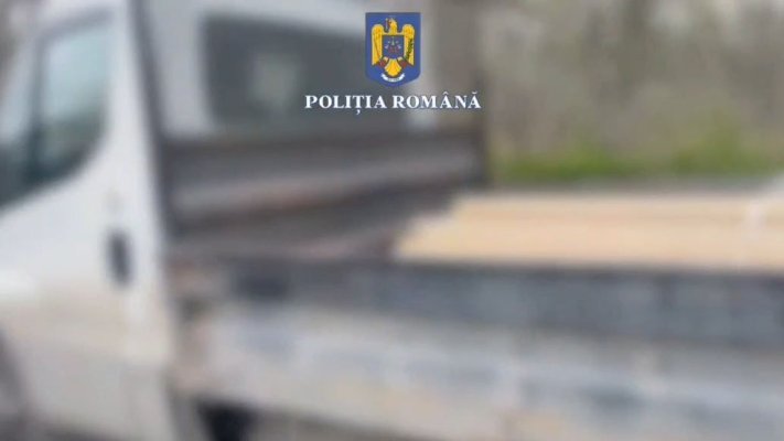Șofer amendat cu 5.000 de lei, pentru transport ilegal de lemne. Video