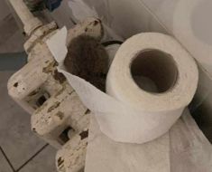 Șobolan ascuns în hârtie igienică, în baia unui spital din țară