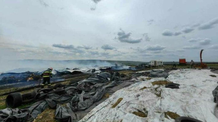 Incendiu la o fermă de animale din judeţul Botoşani: 70 de vaci au murit
