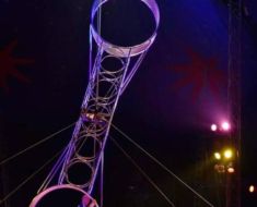 Publicul unui circ a fost evacuat după ce un acrobat a căzut