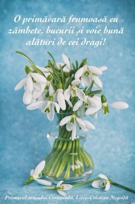 Primarul din Cernavodă, urări de 1 Martie