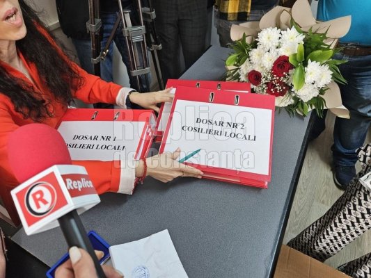 Cine sunt consilierii lui Horia Constantinescu?