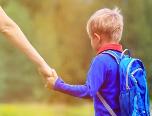 Copilul vândut de familie pe 9.000 de lei, în Germania, a revenit în ţară