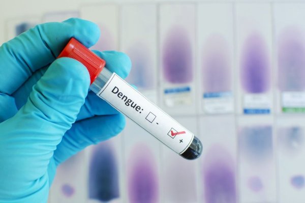 Record de cazuri de febră dengue în Franţa de la începutul anului 2024