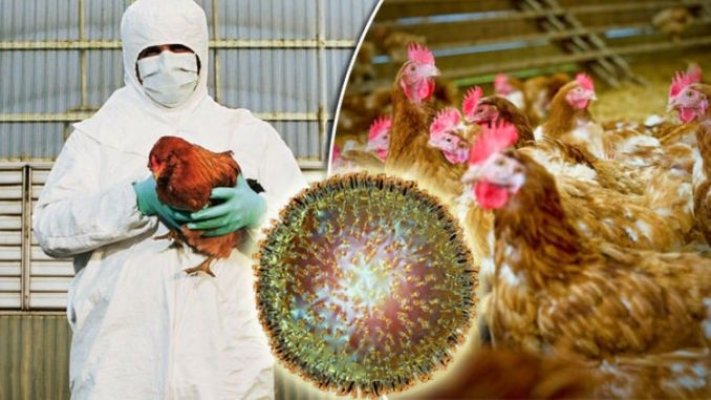 Lapte pasteurizat infectat cu gripă aviară, vândut în magazinele din SUA