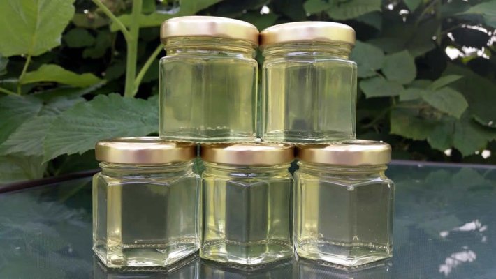 Un român apicultor a descoperit un leac premiat internațional