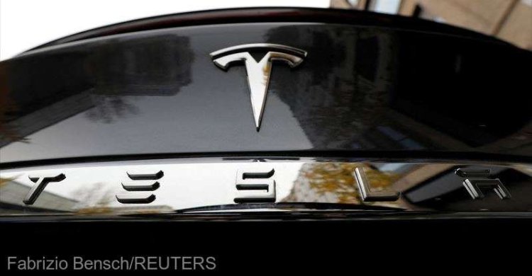 500 de mii de copaci au fost tăiați lângă Berlin pentru construcția unei fabrici Tesla
