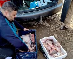 Peste 1.300 de kilograme de pește, confiscate de polițiști, în perioada 2 – 14 aprilie