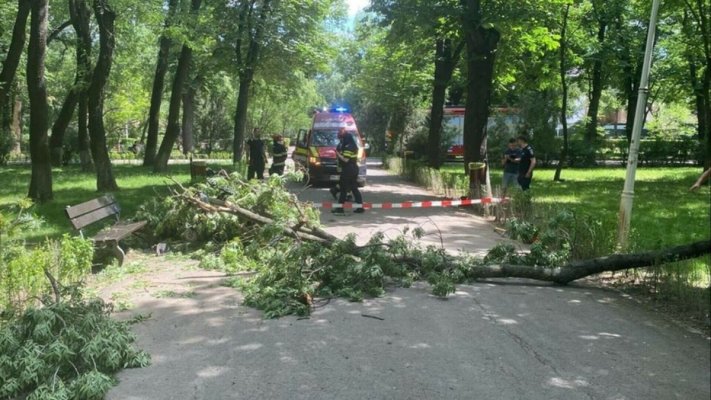 Un copac s-a prăbușit peste doi tineri, într-un parc. Fata, aflată în scaun cu rotile, în comă indusă