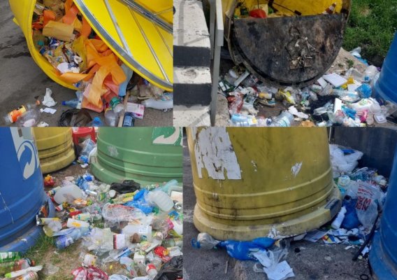 Urmările implementării SGR: S-au înmulțit căutătorii prin tomberoane care poluează natura