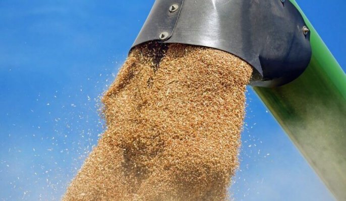 România a exportat, în primele 4 luni din 2024, cereale şi preparate pe bază de cereale în sumă de 1,22 miliarde euro