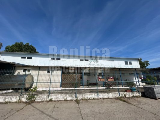 Bunurile fostei fabrici de lactate, Muntina Prod, se vând la licitație la preț de chilipir. Video