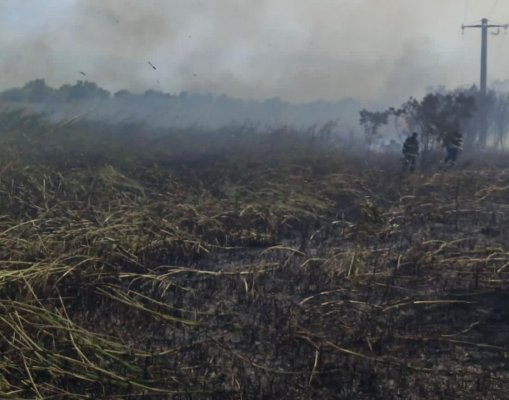 Trei incendii de vegetație uscată și stuficolă, la Tulcea