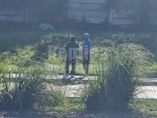 Cerșetorii apelează la o nouă tactică de șantaj emoțional. „Am muncit în Mamaia, nu m-a plătit patronul!“ Video