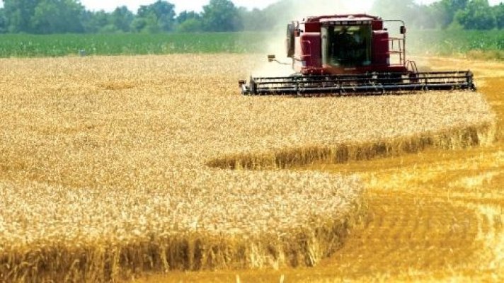 Tot mai multe terenuri agricole ajung la investitori străini. Noi achiziții anunțate în România