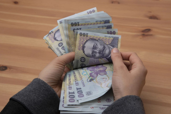 Accesul la finanţări nerambursabile, decisiv pentru 72% dintre investitori în alegerea unei ţări pentru a investi 