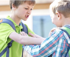 Părinții refuză să mai trimită copiii la ore din cauza unui elev agresiv, la o școală din România
