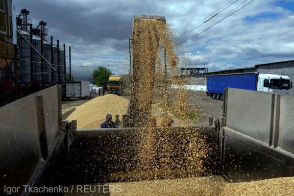Exporturile de cereale ale Ucrainei sunt în scădere