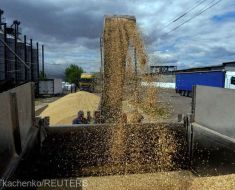Ucraina spune „nu“ aderării la UE, dacă cerealele Kievului nu au acces pe piața europeană Ucraina spune „nu“ aderării la UE, dacă cerealele Kievului nu au acces pe piața europeană