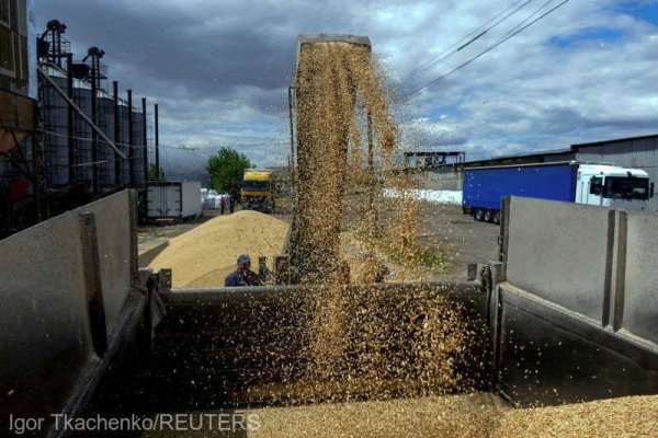 Kremlinul îşi extinde controlul asupra cerealelor ruseşti tocmai când preţul grâului explodează