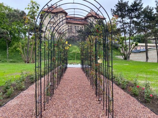 A fost finalizată reabilitarea parcului Carol I